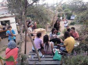 PERMACULTURE-BOSQUE-HUMANO-PERMACULTURA-COIN-MALAGA - Event-plant-exchange
