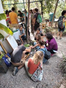 PERMACULTURE-BOSQUE-HUMANO-PERMACULTURA-COIN-MALAGA - plant-exchange