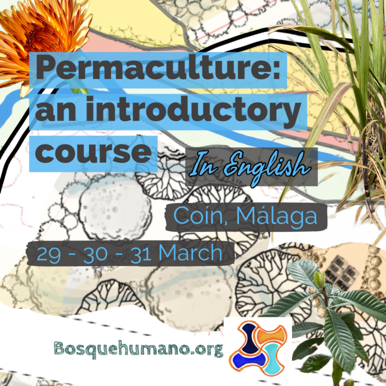 Cartel curso en inglés “permaculture: an introductory course”