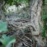 untitled-77